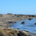 Cambria_2015_0162 (November 07, 2015)